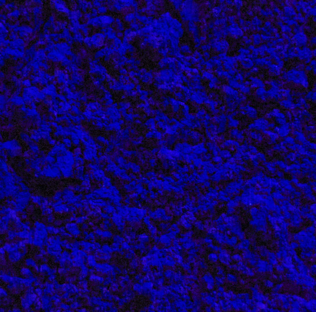 Ultramarine Blue R9 16 oz Dry by Volume